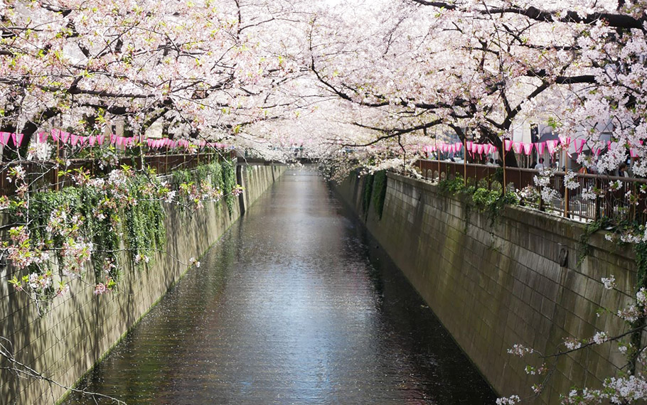 目黒川