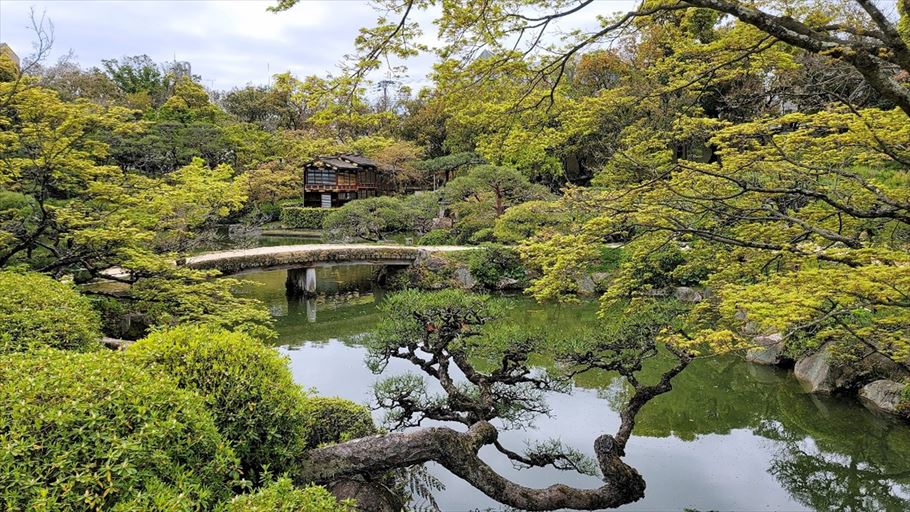 神戸の相楽園で日本庭園を眺めながら、檸檬香る爽やかなマリトッツォはいかが？