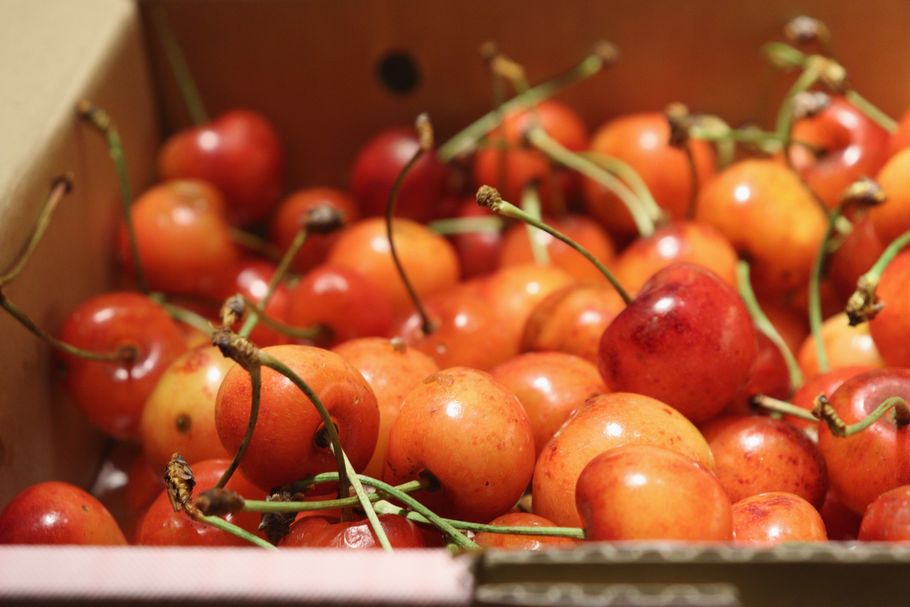 マスカルポーネが生み出す、奇跡のまろやかさ。季節のさくらんぼと「patisserie de bon coeur」（武蔵小山）連載：最高のショートケーキを求めて vol.10