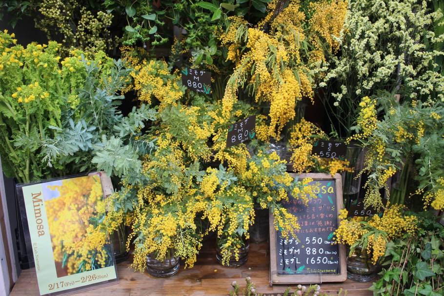 【横浜元町】女心をくすぐる！花屋カフェにある名キャロットケーキ「⁡花Lab.Nocturne」