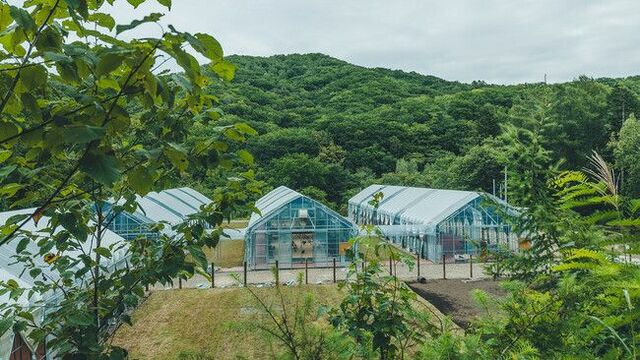 “ufu.と考えるSDGs”人気チーズケーキブランドが挑戦する酪農とお菓子の未来を救う循環モデル「ユートピアアグリカルチャー」の挑戦