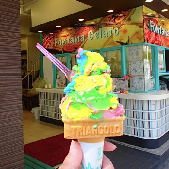 おうちで沖縄気分♪国際通りにある手作りジェラート店「Fontana Gelato」をお取り寄せしてみた。濃厚さがたまらない