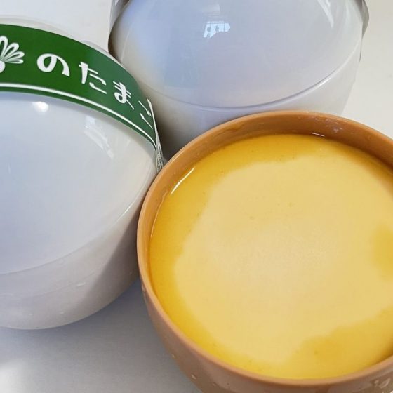 卵のケースに入った、お取り寄せ絶品プリン。たまご屋さん【とよんちのたまご】が作る見た目はたまごな「なめらかプリン」