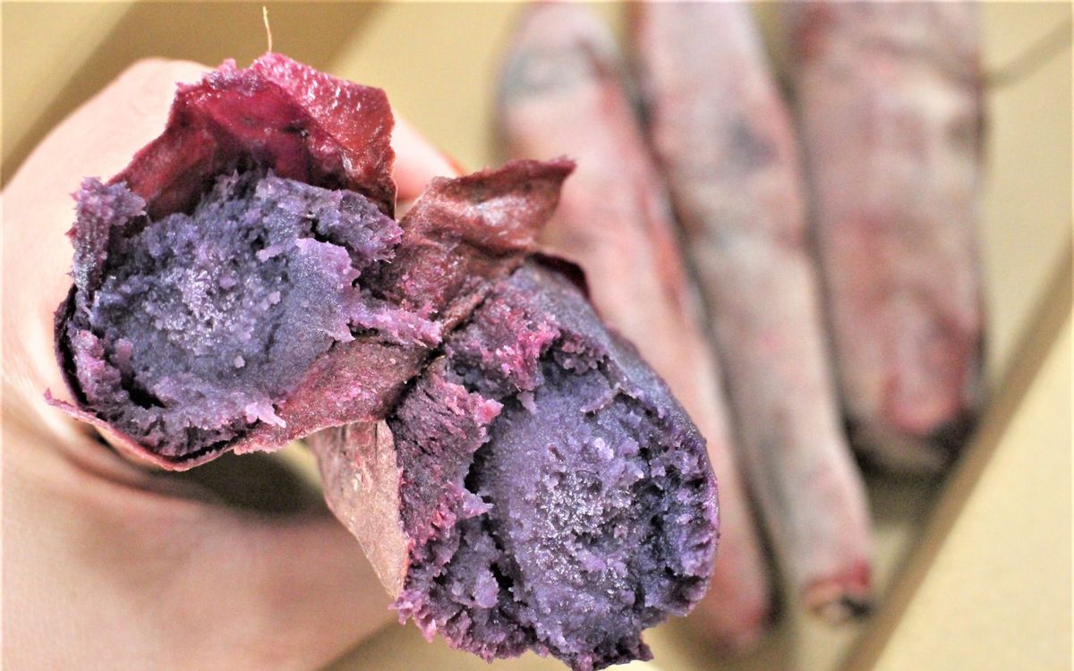焼き芋専門店「蔵出し焼き芋かいつか」知る人ぞ知る紫芋「華むらさき
