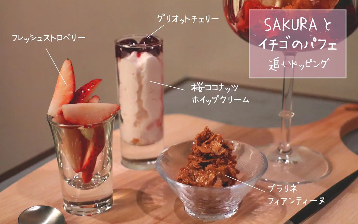 新宿の３D巨大ネコの中で食べられるスイーツ？！あの猿田彦珈琲がプロデュースする桜カフェに大注目！