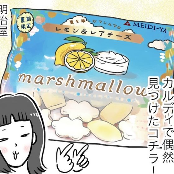 【日雇いまきこのプチプラスイーツ記】vol.29カルディで見つけたレモンスイーツの隠れ名品はコレ！