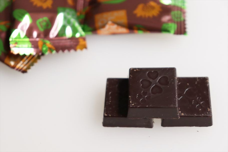 チョコレートでSDGs(エスディジーズ)ができるって知ってた？未来のためにSDGsなチョコレートを選んでみよう！