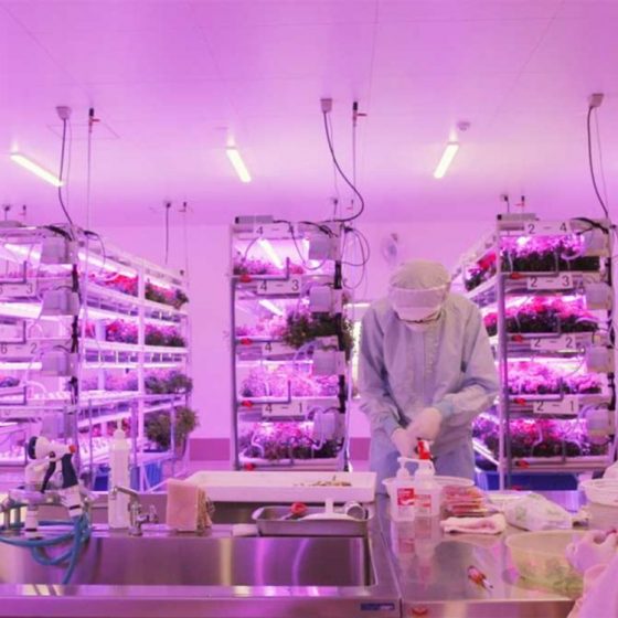 福祉施設で育てる食用花が切り開く新しい世界～ufu.が考える食のミライとSDGs～