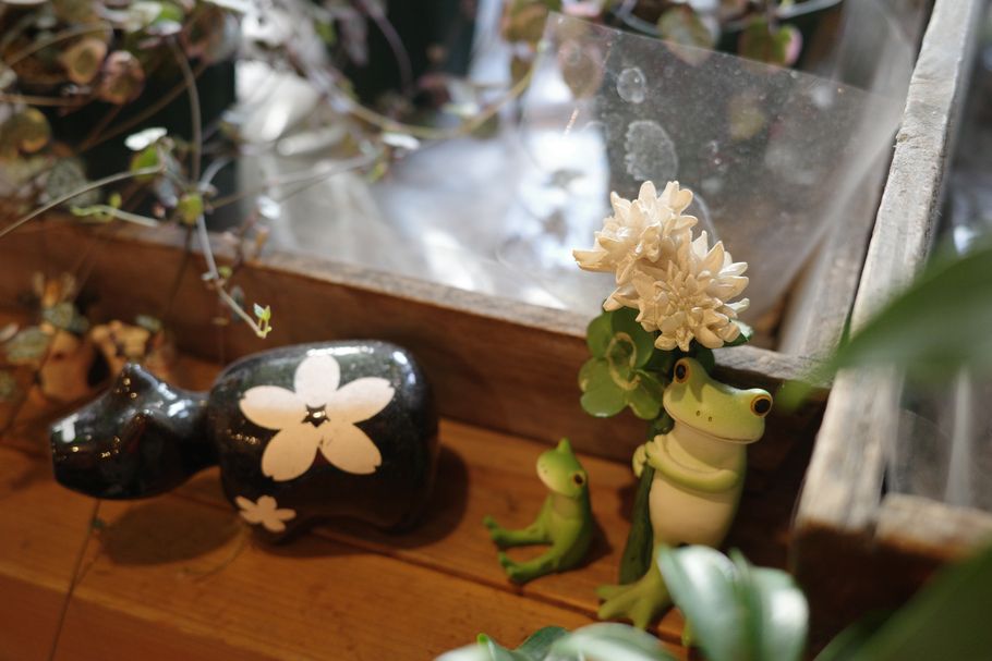 花屋とカフェ、別々だけど店名は同じ。江古田の癒し空間『ネコカヴリーノ』を取材、自然と人が集まる場所。今後のイベント予定は？
