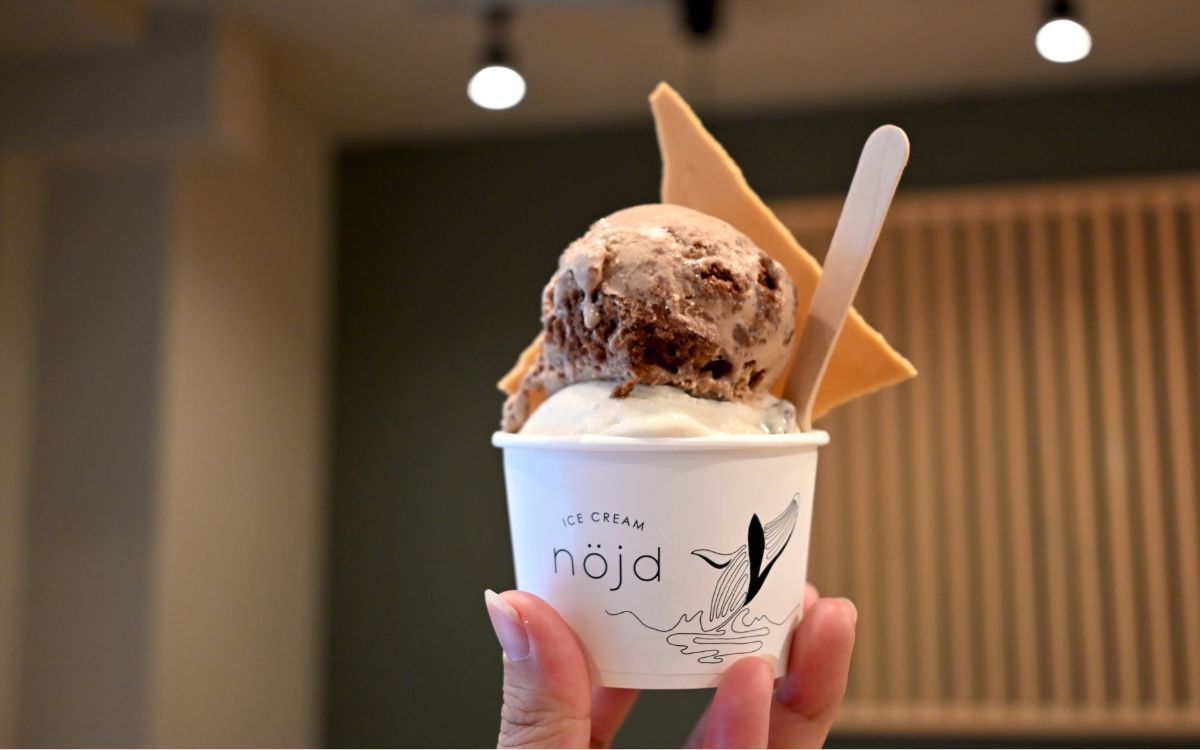 素材にこだわった職人手仕込みのアイスが美味しすぎる♡新店「nöjd（ヌイド）ICE CREAM」（大阪・南堀江）に行ってきた！