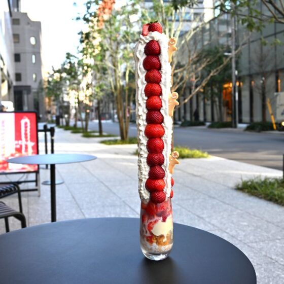 「いちごの山登り」ってなんのこと？大阪・本町の「フルーツカフェ ひかり」のパフェが凄すぎた！