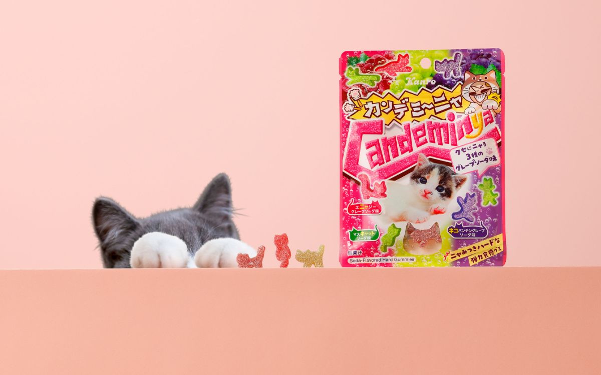 今“グミ”がアツい!?全国で買える新作4品をまとめて紹介！