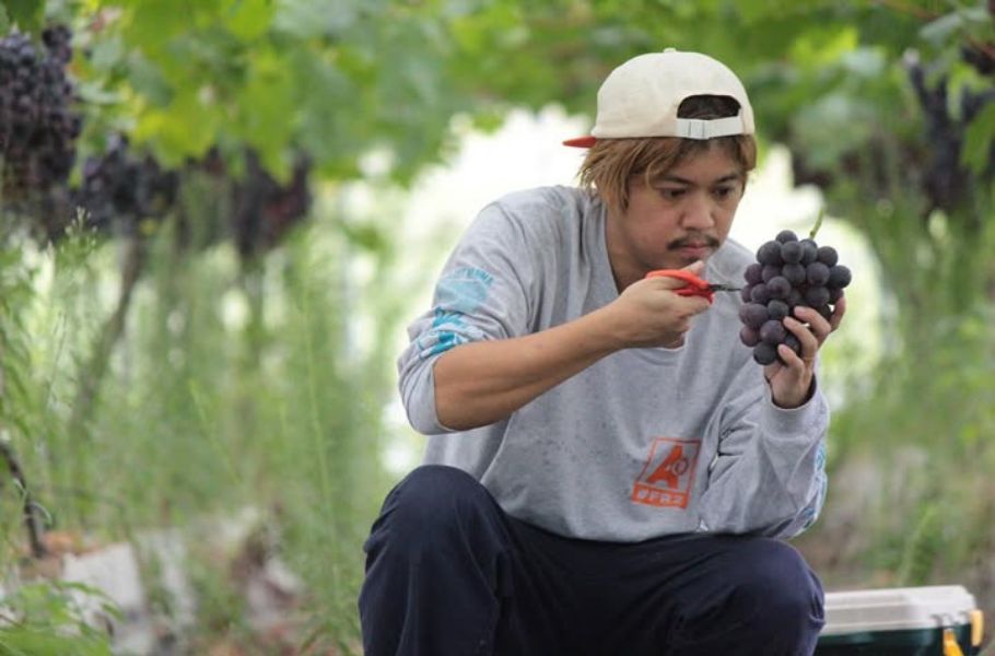 「農業はかっこいい」を伝えたい━ブドウ農家が京都で挑戦！話題のNEWカフェ「Sticks Coffee」（烏丸御池）で可愛いドーナツ型チュロスが登場