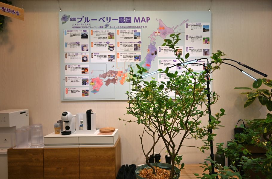 “ブルーベリー神社”が京都・烏丸に出現！？新名所・わかさ生活の体験型カフェ「WAKASA&Co.」がすごすぎた！