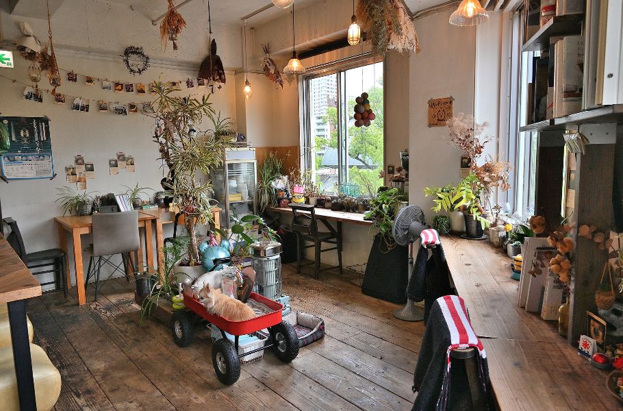 【予約は3分で満席！？】大阪・靱公園の「cocoo cafe（コクウカフェ）」の“非公開日替わりのリアルガチャかき氷”が想像を超えてくる…！