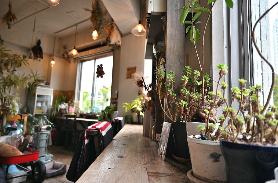 【予約は3分で満席！？】大阪・靱公園の「cocoo cafe（コクウカフェ）」の“非公開日替わりのリアルガチャかき氷”が想像を超えてくる…！