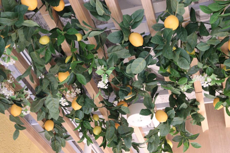 レモンの世界に入ったように感じる天井