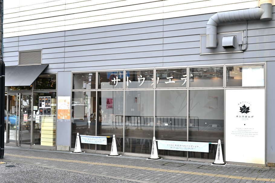 サトウカエデの外観